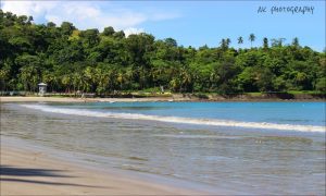 Corbyn’s Cove Beach